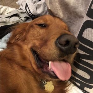 Meet your Posher, Gage